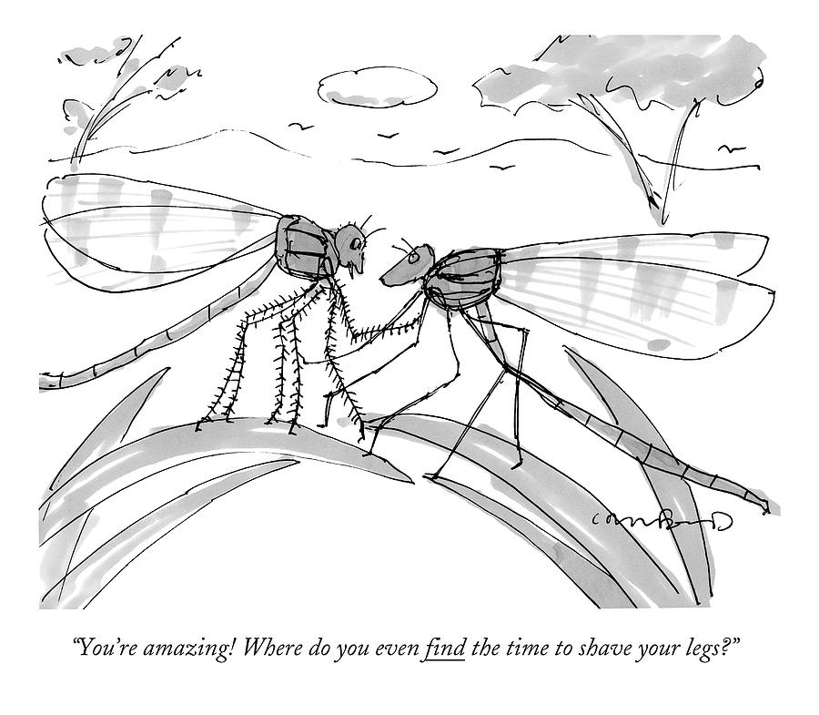 Two Flies In A Relationship Discussing Drawing by Michael Crawford ...