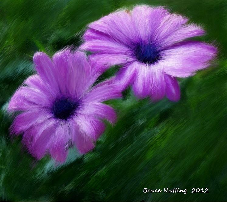 Two Flowers Painting by Bruce Nutting
