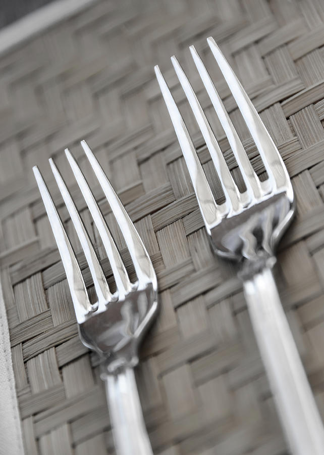 Two forks Photograph by Dutourdumonde Photography