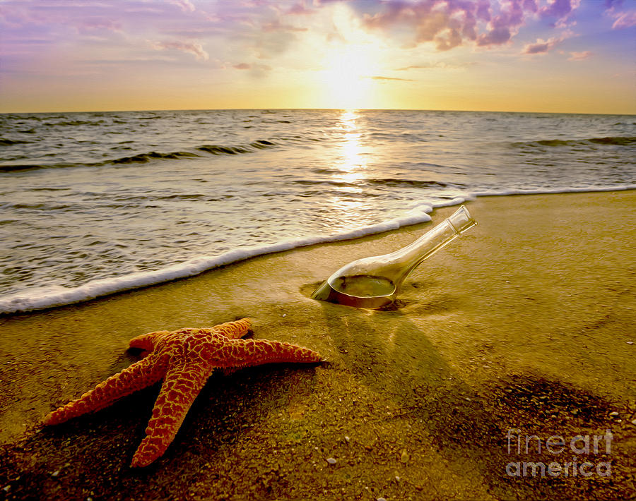 Sunset Photograph - Two Friends on the Beach by Jon Neidert
