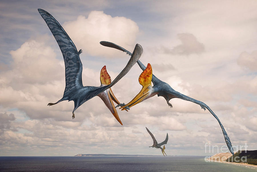 Two Geosternbergia Pterosaurs Fighting Digital Art