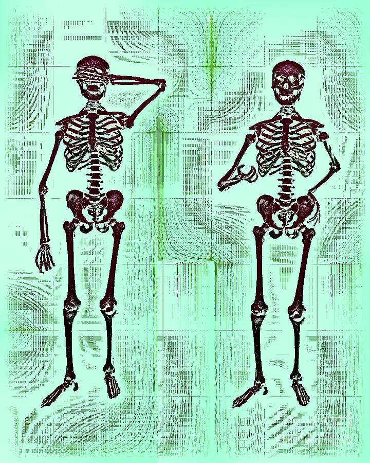Two Gesturing Skeletons Photograph by Dennis Potokar