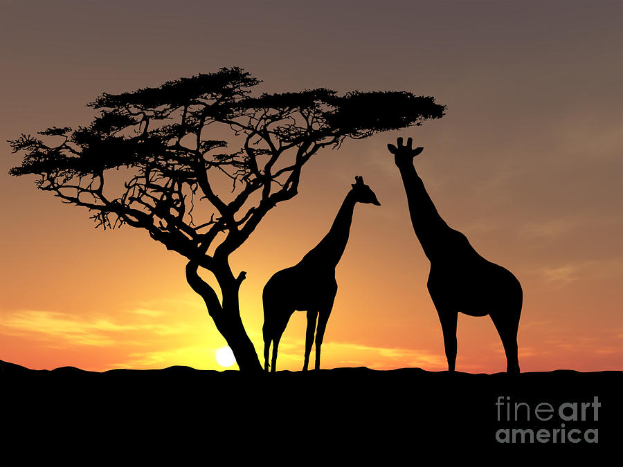 Nature Painting - Two Giraffes by James Ashley