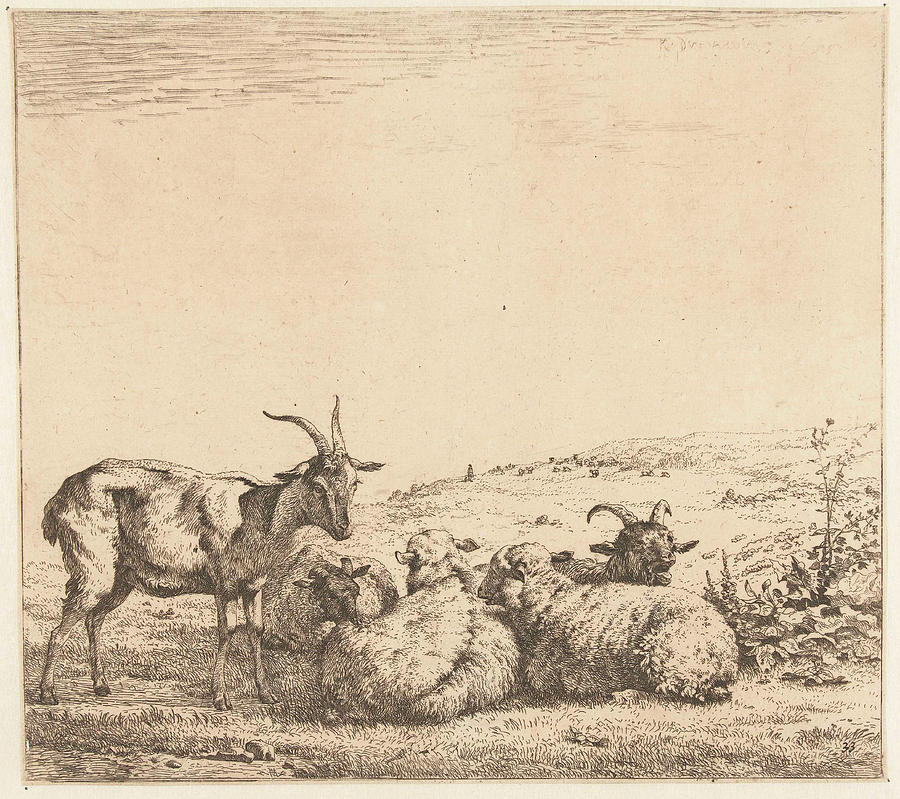 Karel Dujardin Drawing - Two Goats And Three Sheep, Karel Dujardin by Karel Dujardin