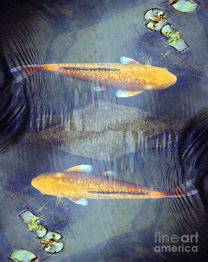 Two Gold Fish 2 Digital Art by Kristine Anderson