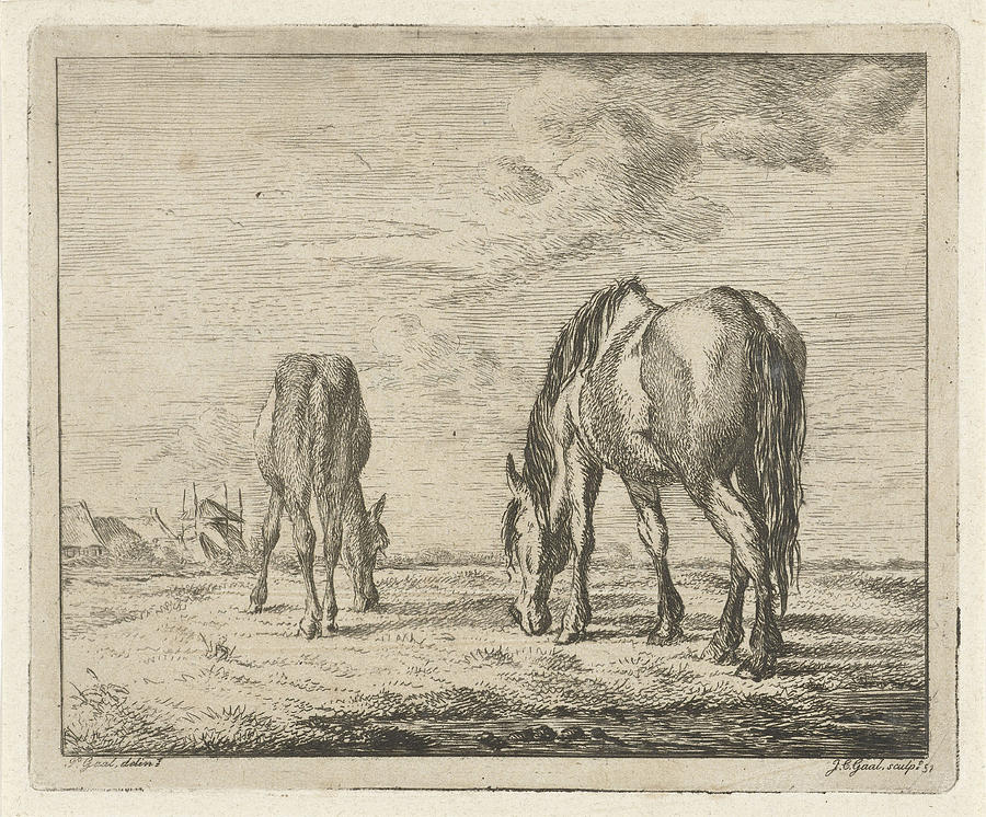 Two Grazing Horses, Jacobus Cornelis Gaal 1851 Drawing by Jacobus ...