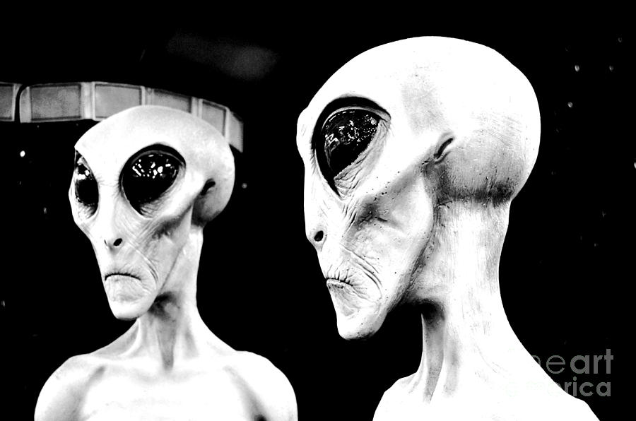 Two Grey Aliens Science Fiction Portrait Black and White Conte Crayon Digital Art Digital Art by Shawn OBrien