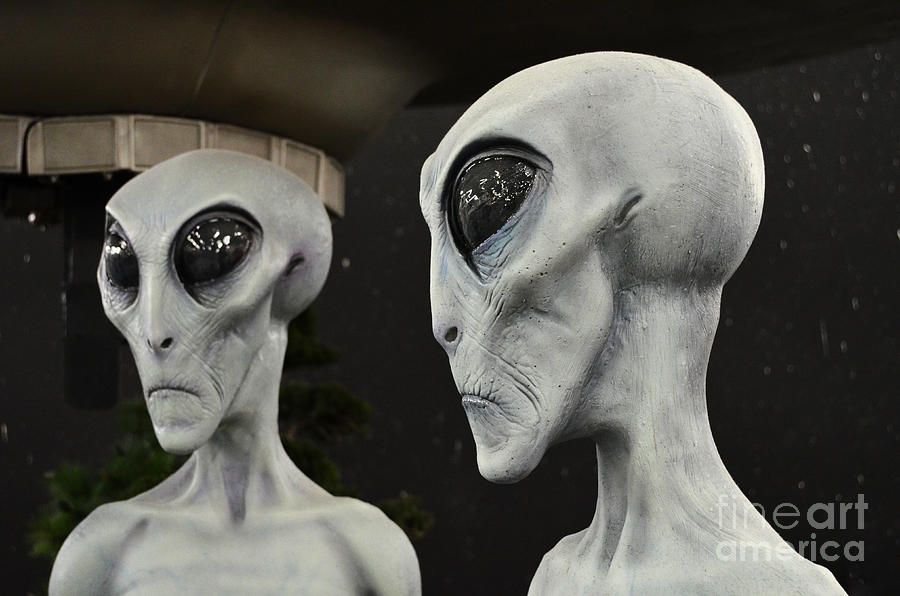Two Grey Aliens Science Fiction Portrait Photograph by Shawn OBrien