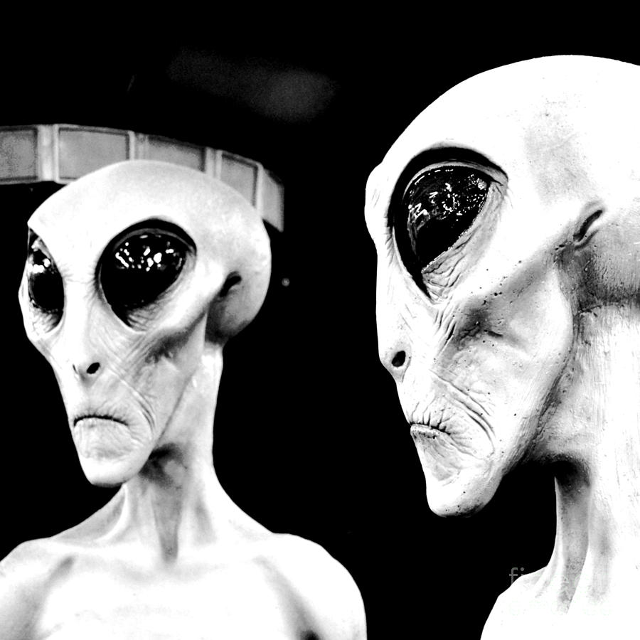 Two Grey Aliens Science Fiction Square Format Black and White Conte Crayon Digital Art Digital Art by Shawn OBrien