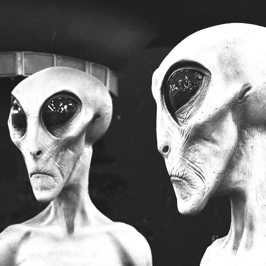 Two Grey Aliens Science Fiction Square Format Black and White Film Grain Digital Art Digital Art by Shawn OBrien