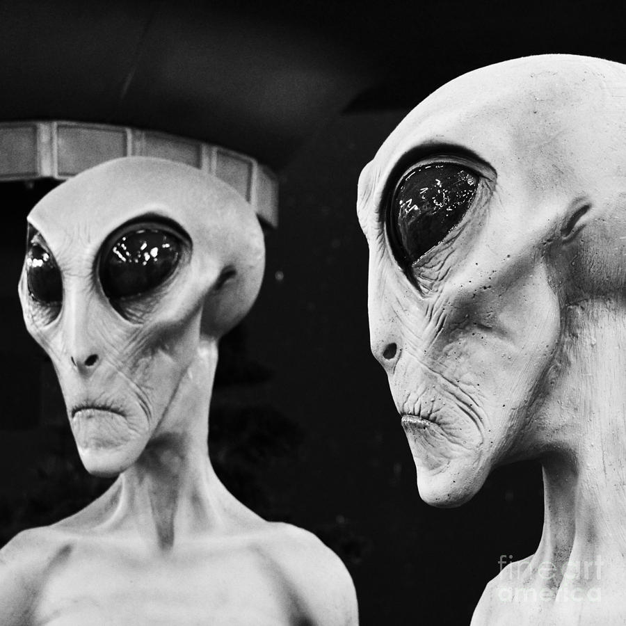 Two Grey Aliens Science Fiction Square Format Black and White Photograph by Shawn OBrien