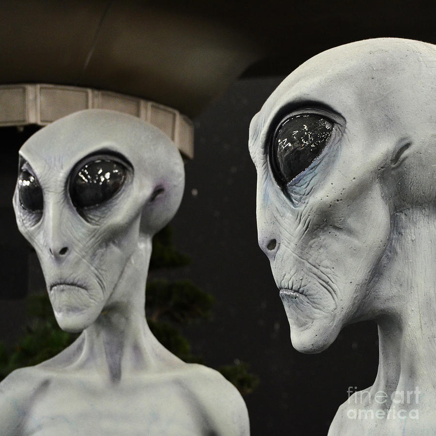 Two Grey Aliens Science Fiction Square Format Photograph by Shawn OBrien