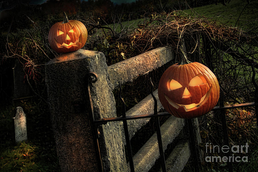 Spider Photograph - Two halloween pumpkins sitting on fence by Sandra Cunningham