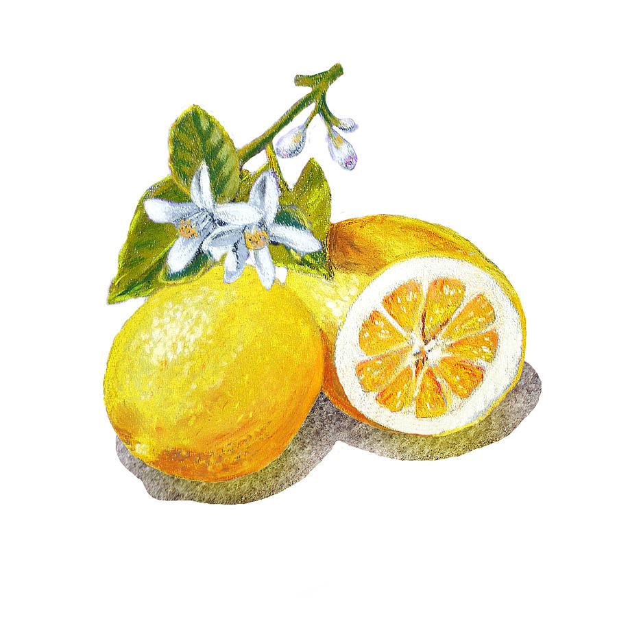 Fruit Painting - Two Happy Lemons by Irina Sztukowski