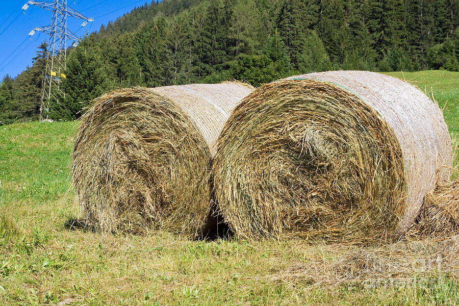 Two Hay Bales Photograph