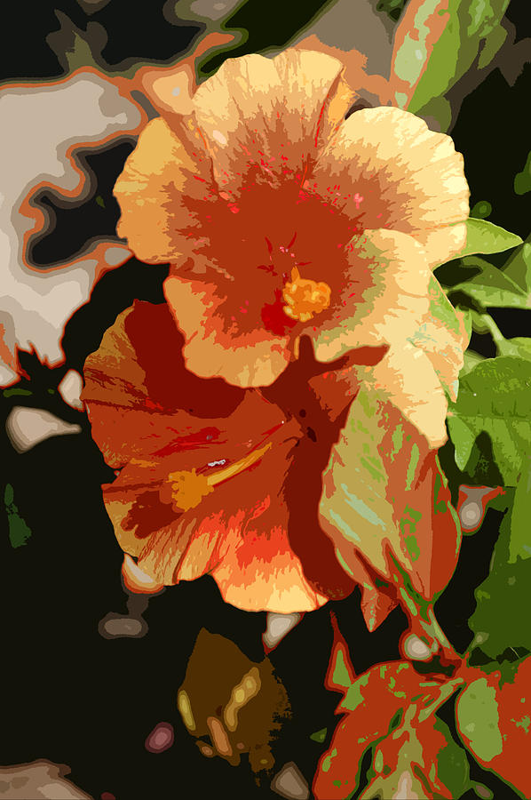 Two Hibiscus Abstract Photograph by Linda Brody