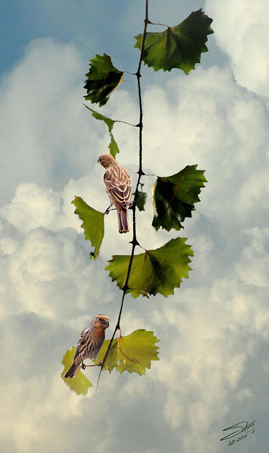 Two House Finches on a Vine Digital Art by M Spadecaller