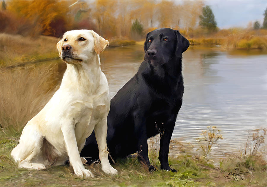 Two Labs Painting by Rob Smiths
