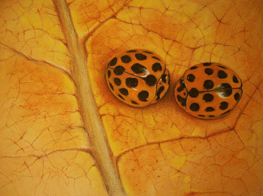 Ladybug Drawing - Two Ladybugs Whispering by Amani Warrington