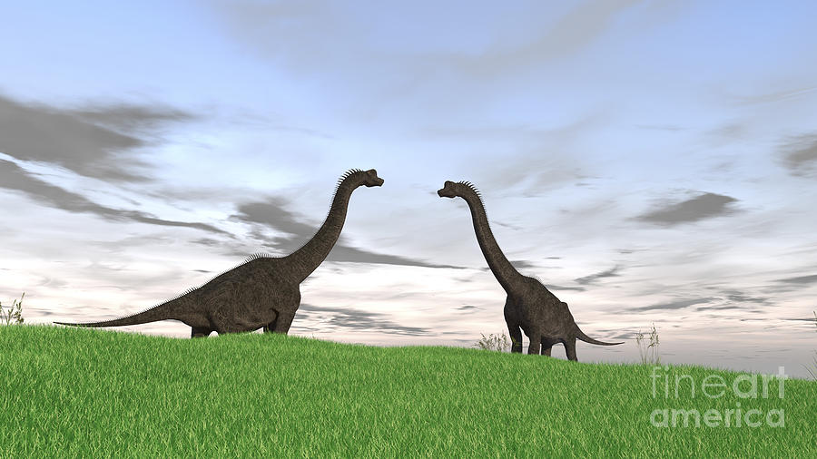 Two Large Brachiosaurus In A Grassy Digital Art by Kostyantyn Ivanyshen ...