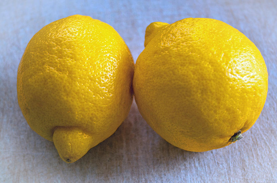 Two Lemons Photograph by Tikvahs Hope