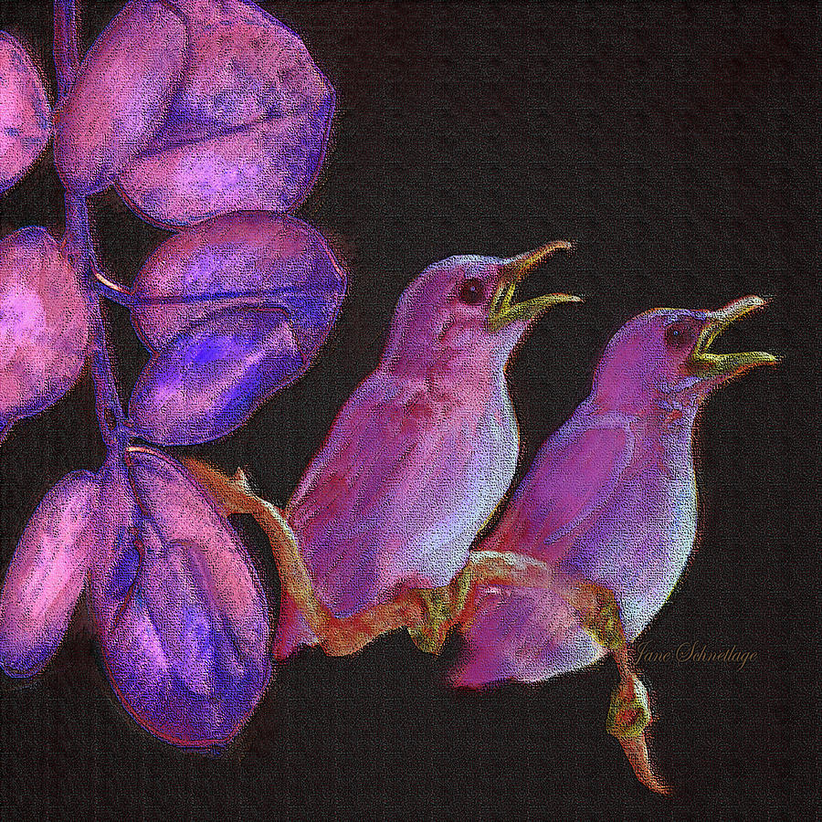 Two Little Birds In Pink Digital Art by Jane Schnetlage