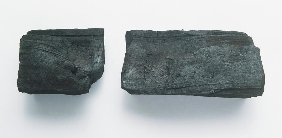 vine and compressed charcoal