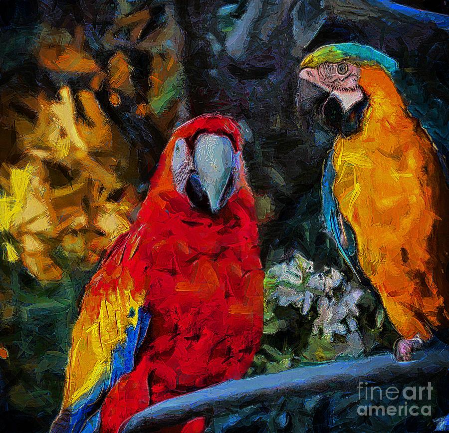 Two Macaws Photograph by John  Kolenberg