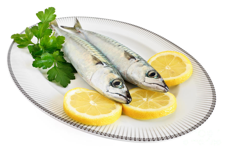 Two Mackerels On A Plate Photograph by Antonio Scarpi