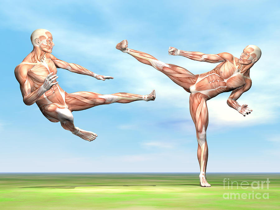 Two Male Musculatures Fighting Martial Digital Art