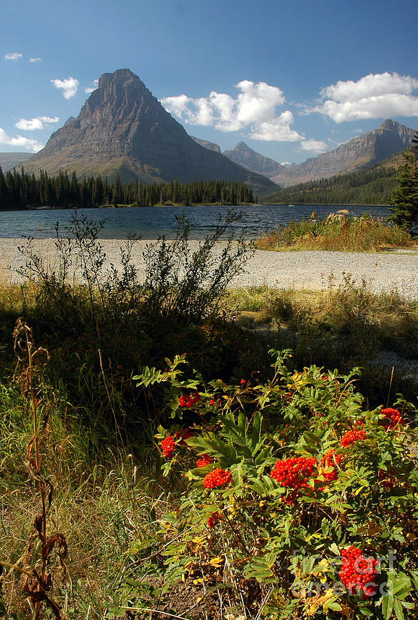 Two Medicine Lake in Glacier Photograph by Cindy Murphy - NightVisions 