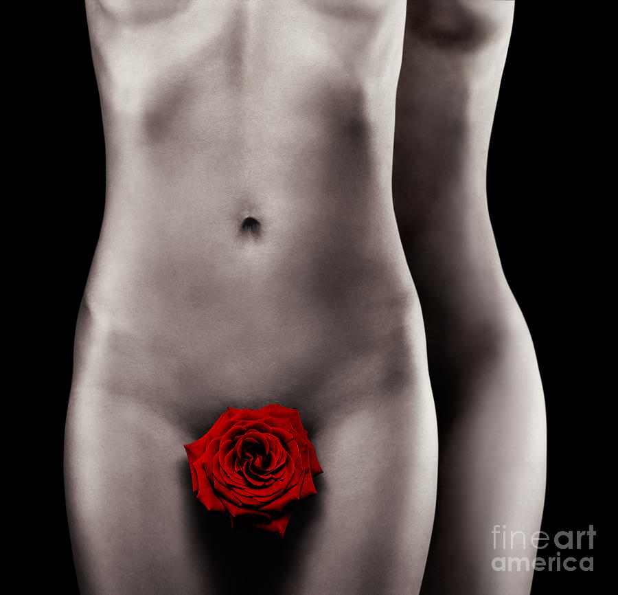 Abstract Photograph - Two nude woman bodies with red rose gay love concept by Maxim Images Exquisite Prints