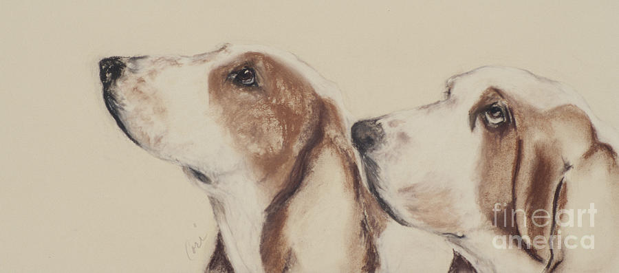 Dog Drawing - Two Of A Kind by Cori Solomon