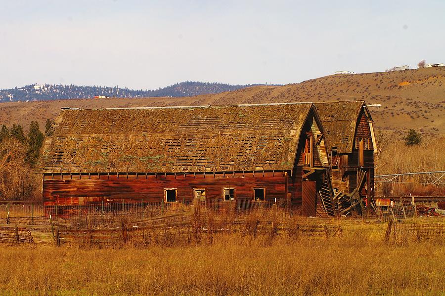 Two Old Barns Near Thorp  Wa Photograph by Jeff Swan