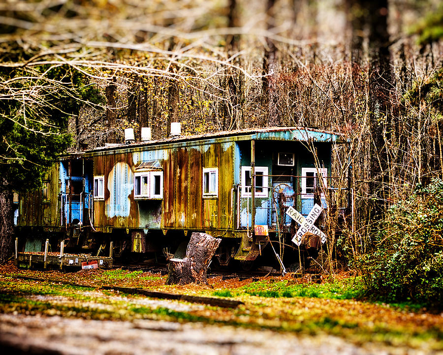 Two Old Cabooses Photograph by Bill Swartwout