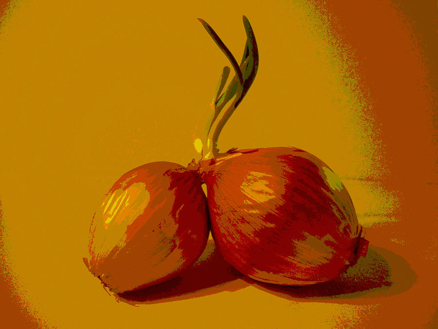 Onion Painting - Two Onions by Erica  Darknell 