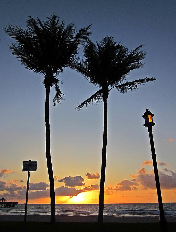 Two Palm Sunrise Photograph by MTBobbins Photography