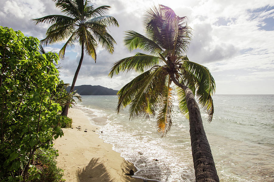 Two Palm Trees On The Beach With Sun Photograph by Jenna Szerlag