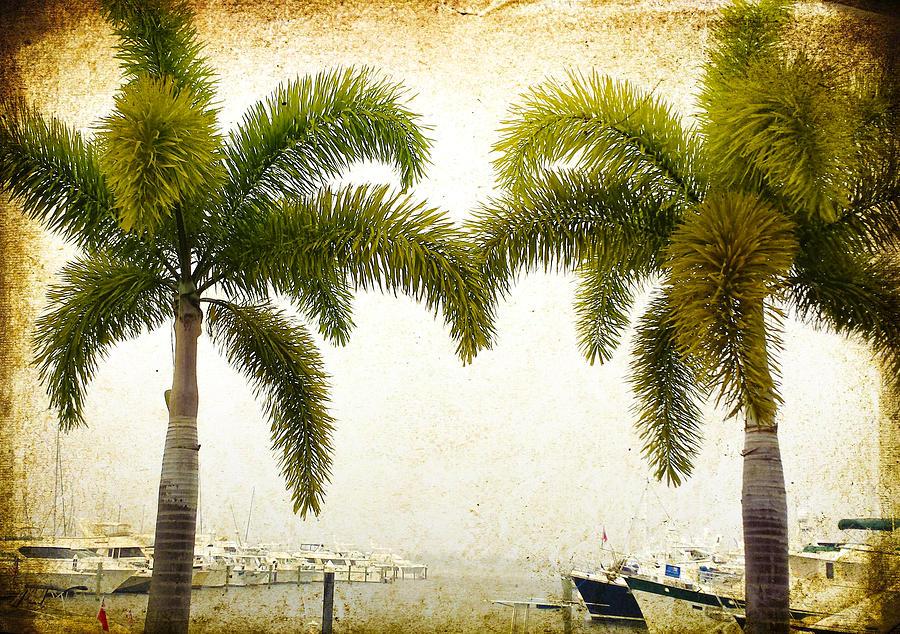 Two Palms Marina Vintage Image Art  Photograph by Jo Ann Tomaselli