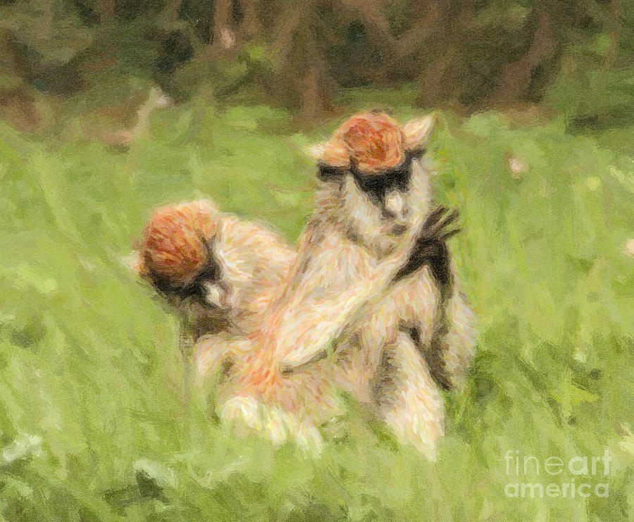 Two Patas Monkeys Erythrocebus patas grooming Digital Art by Liz Leyden