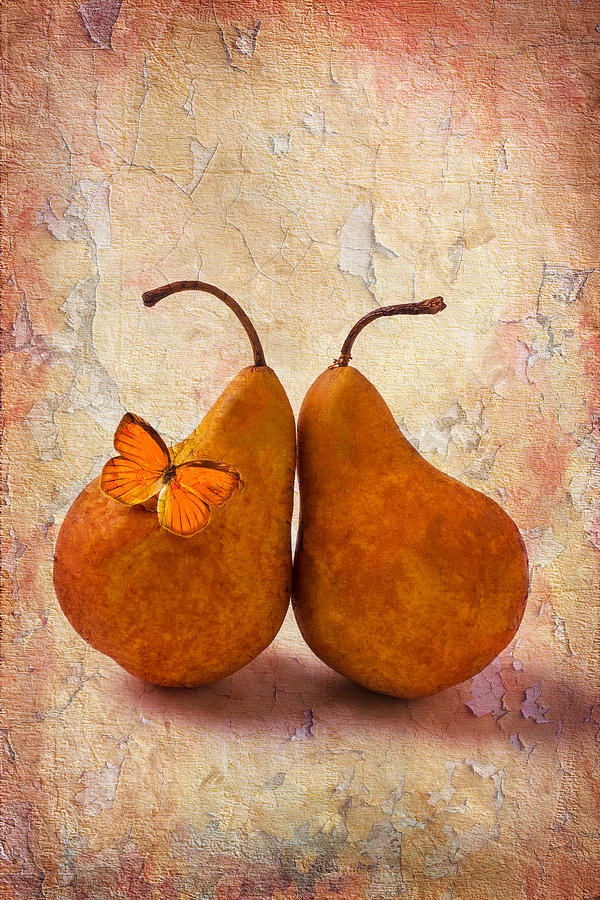 Pear Photograph - Two Pears With Butterfly by Garry Gay