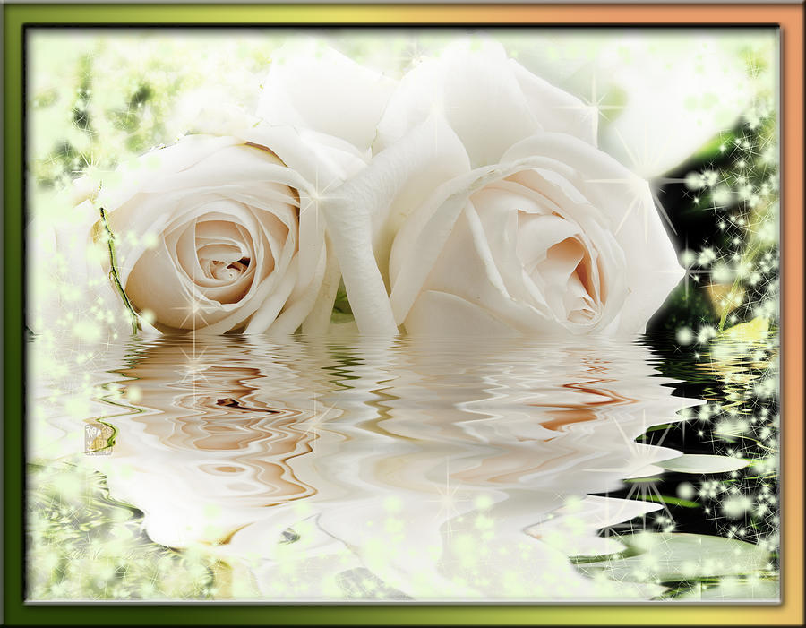 Two pink roses in water reflection Mixed Media by Peter V Quenter