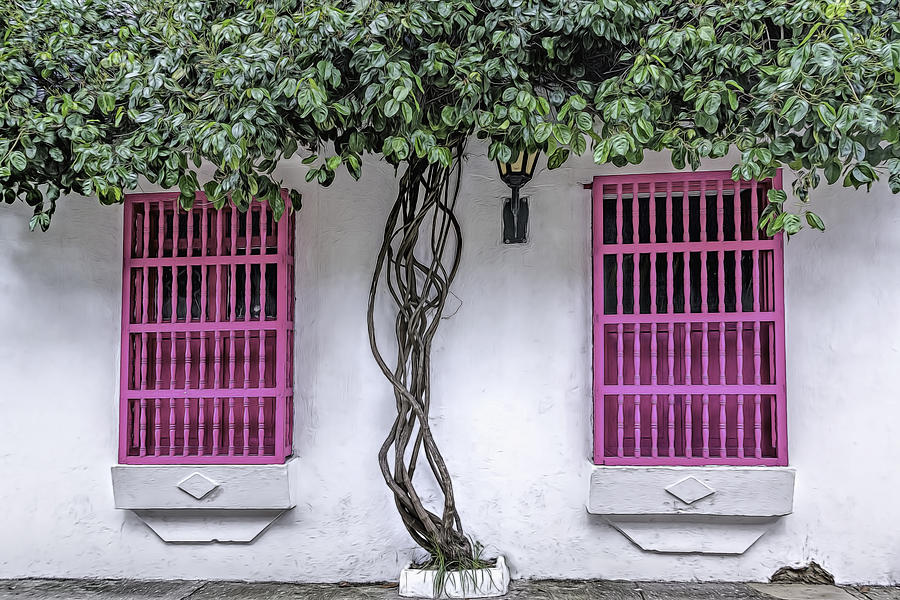 Pink Windows Photograph by Maria Coulson