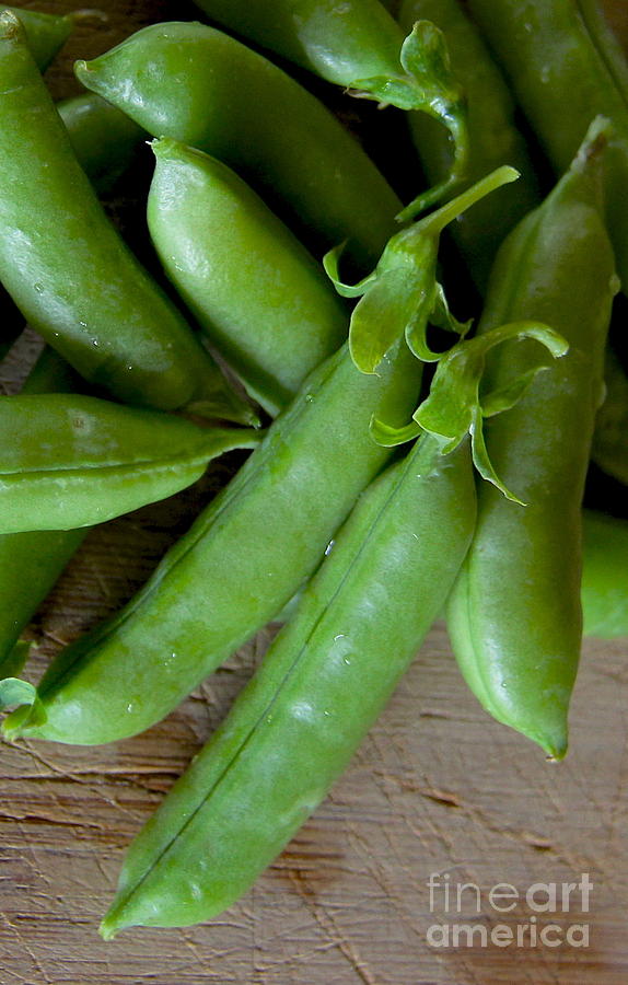 Two Pods of Peas  Photograph by Suzanne Oesterling