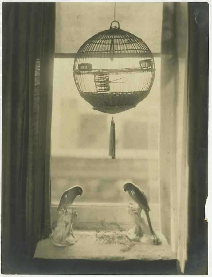 Two Porcelain Birds Underneath A Birdcage Photograph by Adolphe De Meyer
