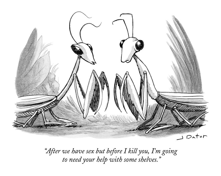 Two Praying Mantises Facing Each Other Drawing by Joe Dator