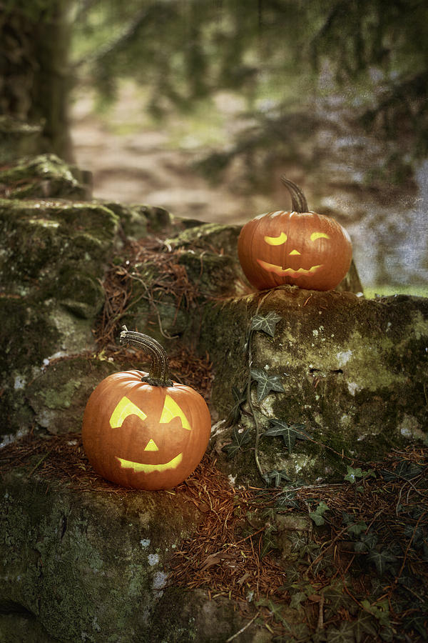 Pumpkin Photograph - Two Pumpkins by Amanda Elwell