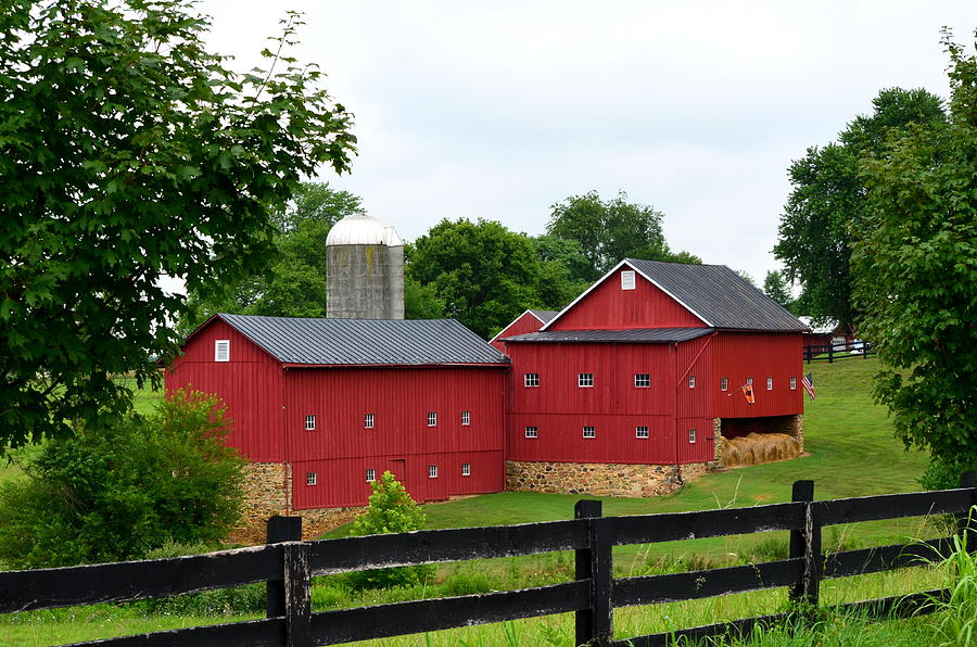 Two Red Barns Photograph by Cathy Shiflett