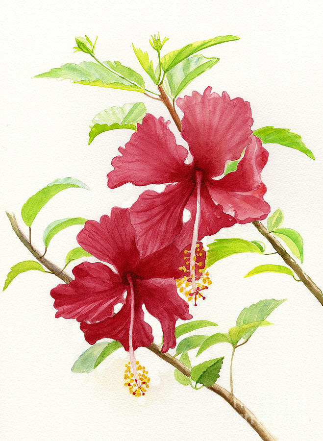 Flower Painting - Two Red Hibiscus Flowers by Sharon Freeman