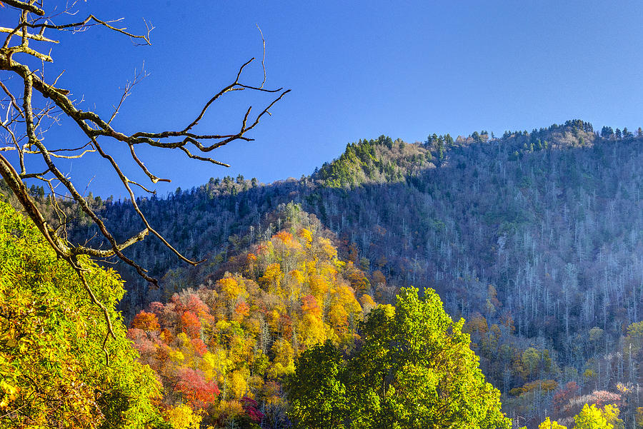 Two Ridges Two Ridges at Chimney Tops Photograph by Steve Samples - Fine Art America